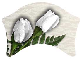 DABAN-060 2 Roses White